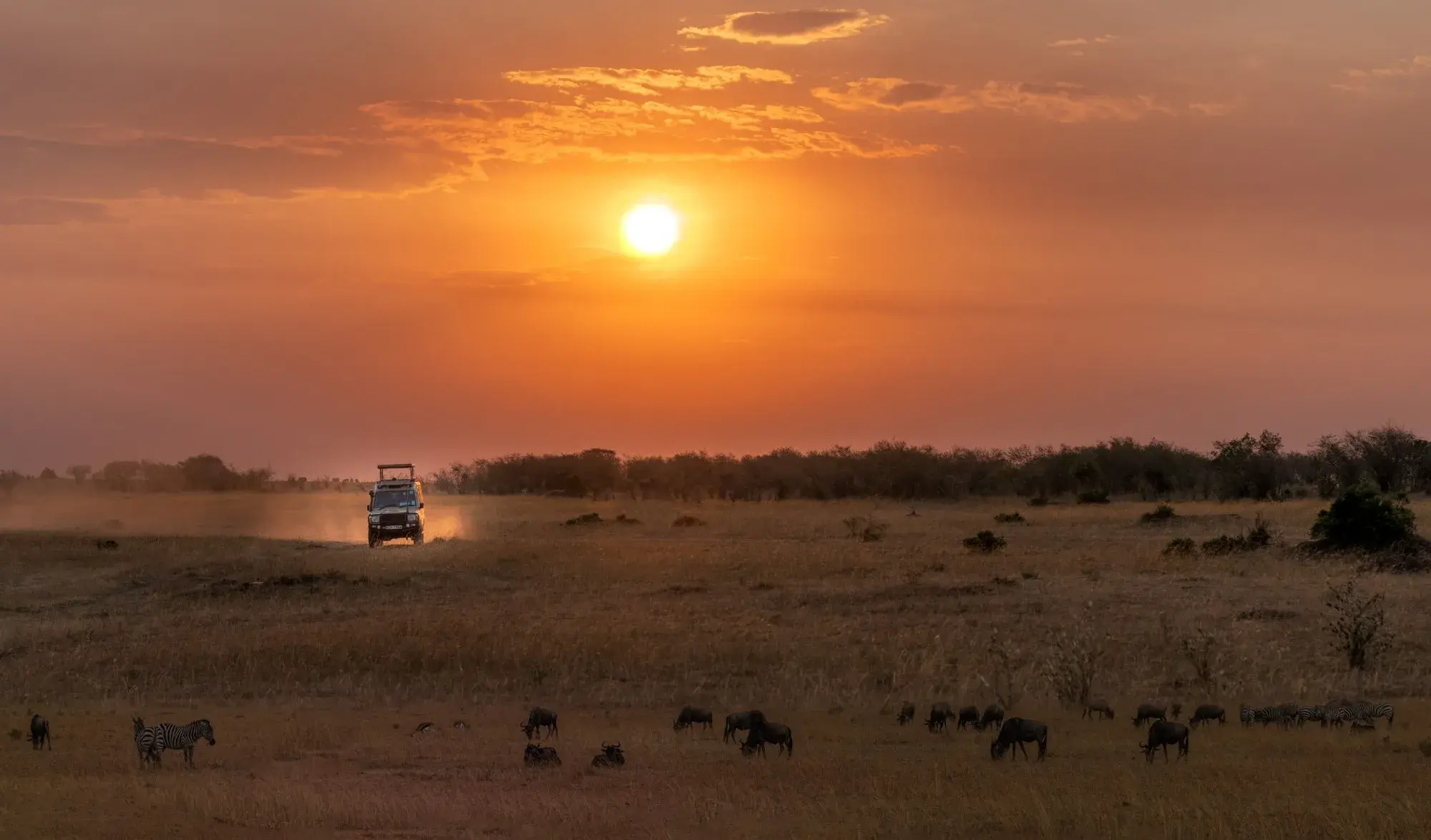 Safari vehicle driving across the savannah at sunset, with zebras and wildebeest grazing in the foreground